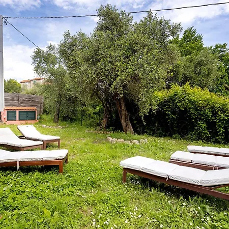 Casa Conte Picedi Vineyars Arcola